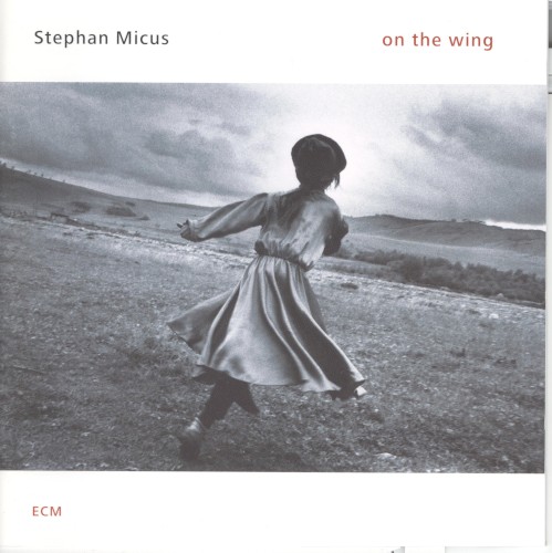 On the Wing
