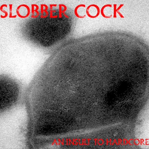 An Insult to Hardcore