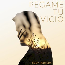 Pégame tu vicio
