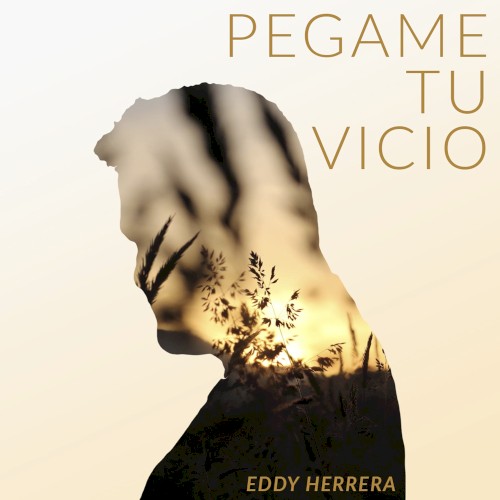 Pégame tu vicio