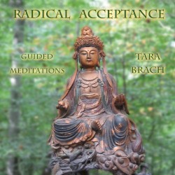 Radical Acceptance: Guided Meditations