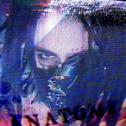 Fleshlike plastic