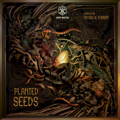Planted Seeds