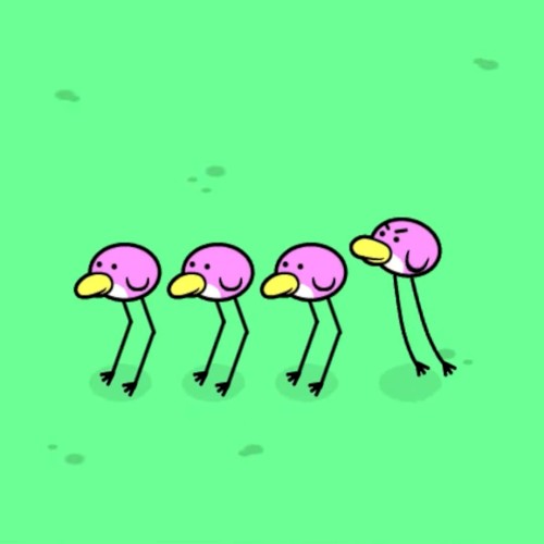 FLOCK to me, trend-STEPPER
