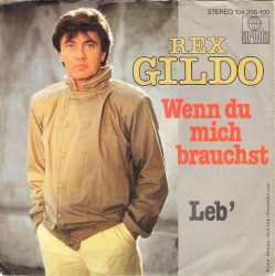 Wenn du mich brauchst / Leb'