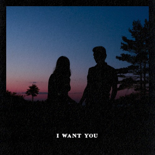 I Want You
