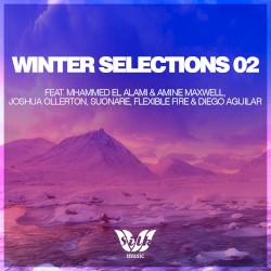 Winter Selections 02