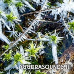 Yggdrasounds III