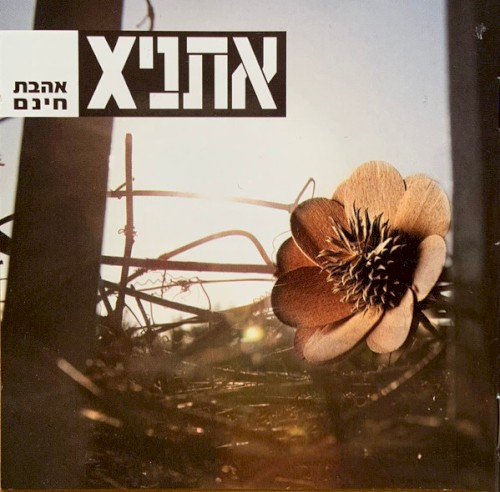 אהבת חינם