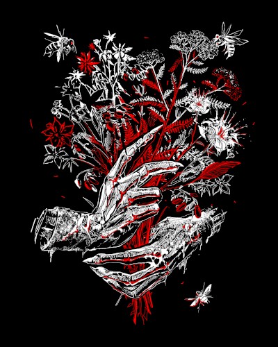 Red Roses