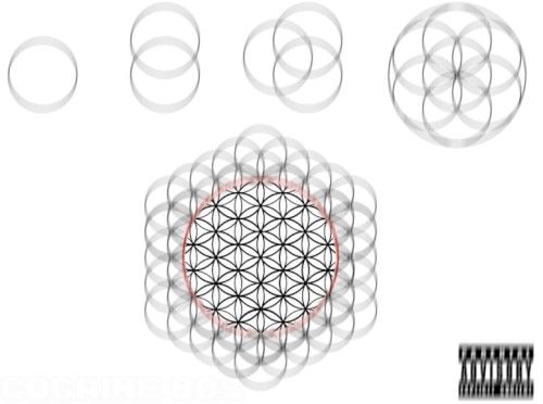 The Flower of Life