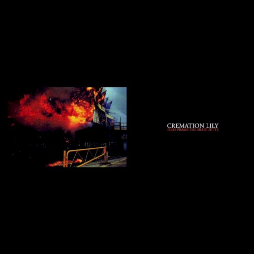Fires Frame the Silhouette