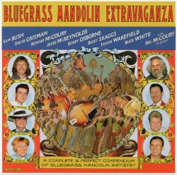 Bluegrass Mandolin Extravaganza