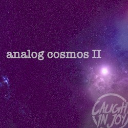 Analog Cosmos II