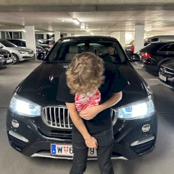 El Mész