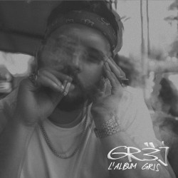 L’album gris
