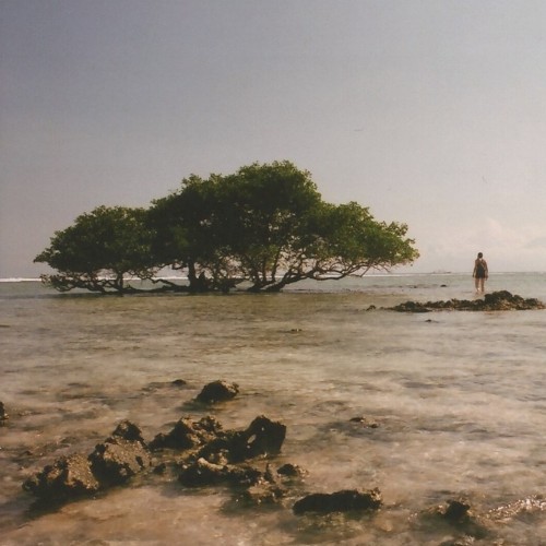 Nostalgic Waves