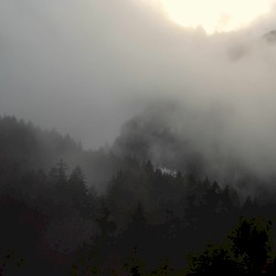 Wildfires