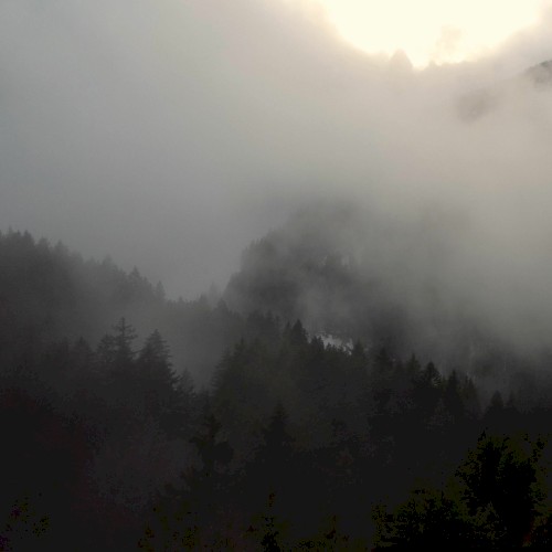 Wildfires