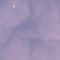 lights turn low