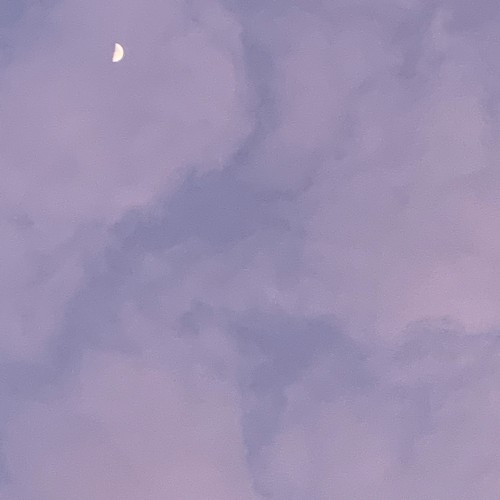 lights turn low