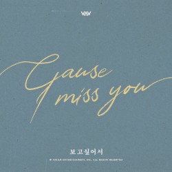 Cause I Miss You