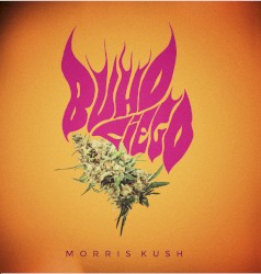 Morris Kush