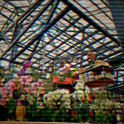 Ｐｌａｎｔ Ｓｈｏｐｐｉｎｇ ＩＩ