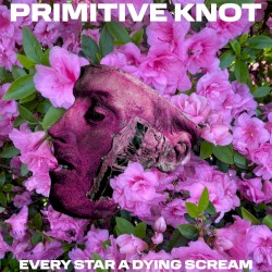 Every Star a Dying Scream