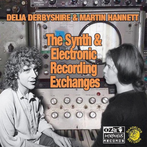 The Synth & Electronic Recording Exchanges