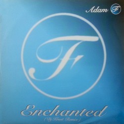 Enchanted (DJ Krust remix)