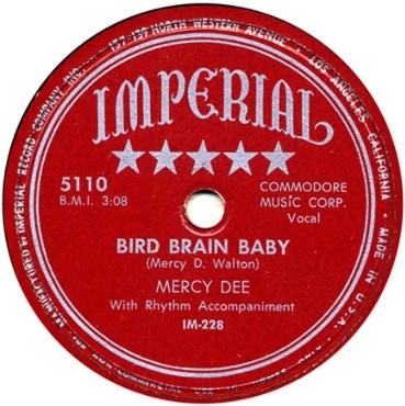 Bird Brain Baby / Big Foot Country