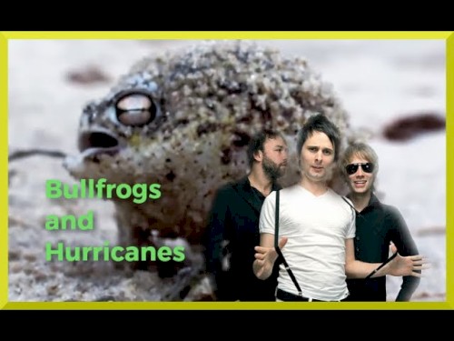 Bullfrogs and Hurricanes