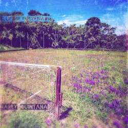 Blue Sky Szenario