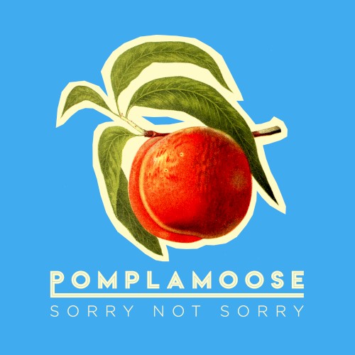 Sorry Not Sorry