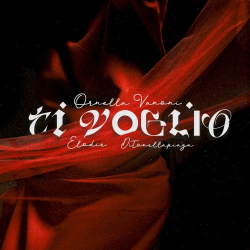 Ti voglio
