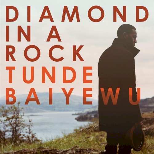Diamond in a Rock