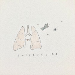 butterflies