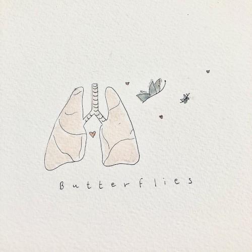 butterflies