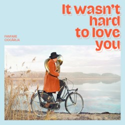 It Wasn't Hard To Love You