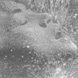L‐Tryptophan