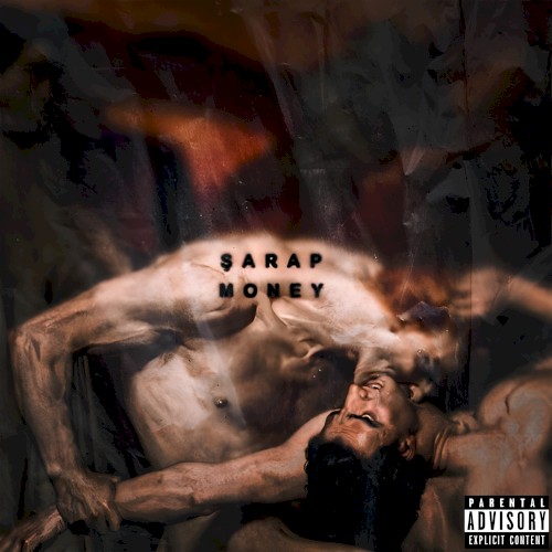 Şarap Money