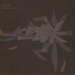 DARK DESIGN CATALOG