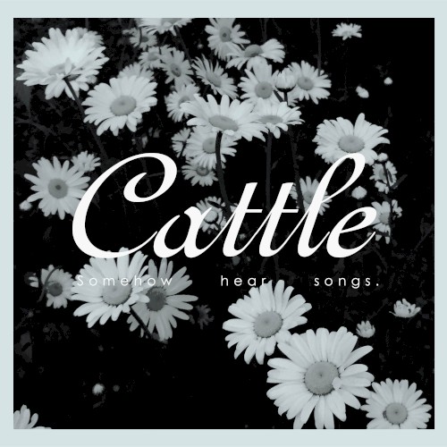 somehow hear songs.