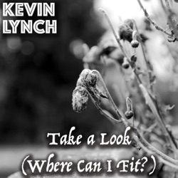 Take a Look (Where Do I Fit?)
