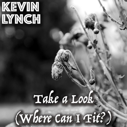 Take a Look (Where Do I Fit?)