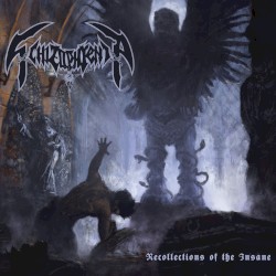 Recollections of the Insane