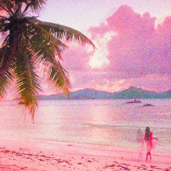 ＤＲＥＡＭ ＩＳＬＡＮＤ
