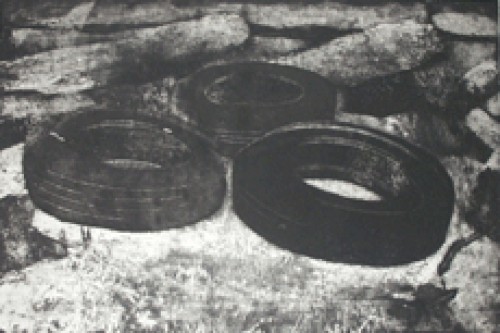 Detritus