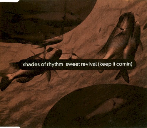 Sweet Revival (Keep It Comin)